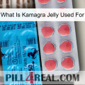 What Is Kamagra Jelly Used For new14